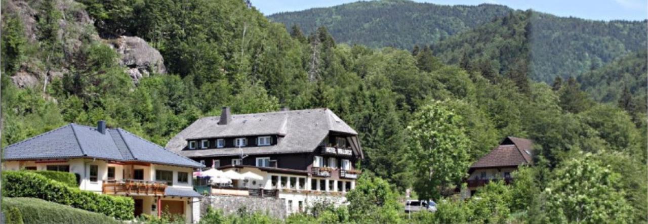 Hotel Waldeck In Тодтнау Экстерьер фото