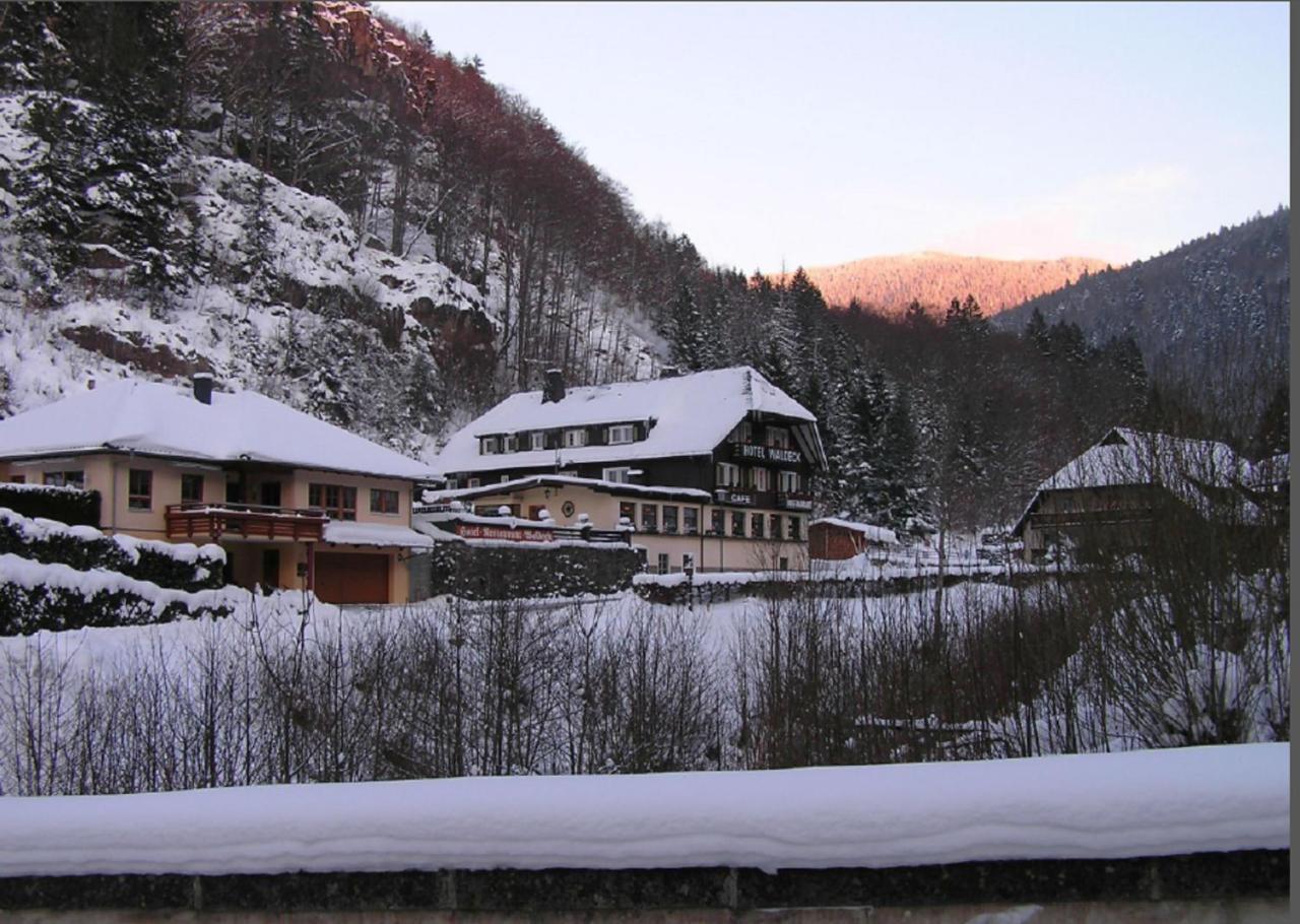 Hotel Waldeck In Тодтнау Экстерьер фото